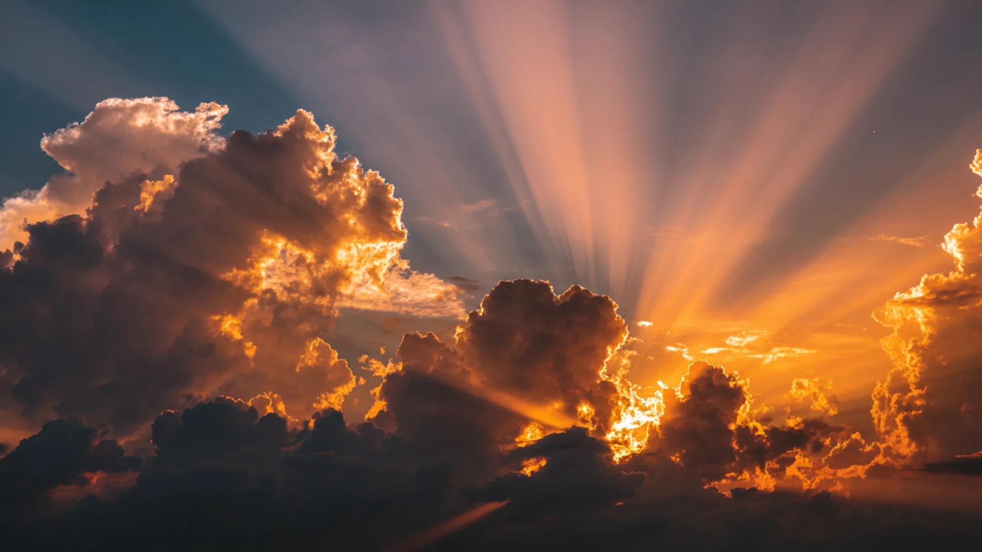 Asset X | June 2026: Key Signals Across Asset Classes